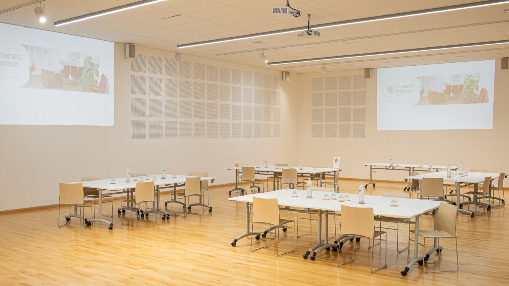 Salle de réunion Paris 10, Directrice Magaly Dominique, 7 règles d'or pour une réunion réussie
